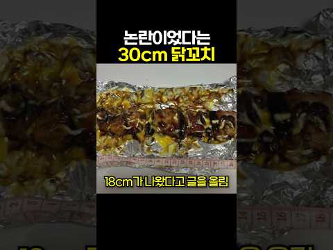 논란이었다는 30cm 닭꼬치