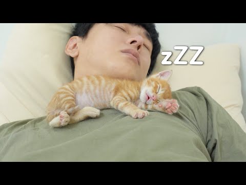 Kitten Came to Wake me up and Just Slept with me?