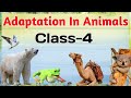 Animal Habitats and Adaptations