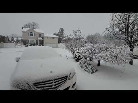 Segunda nevada en nueva york