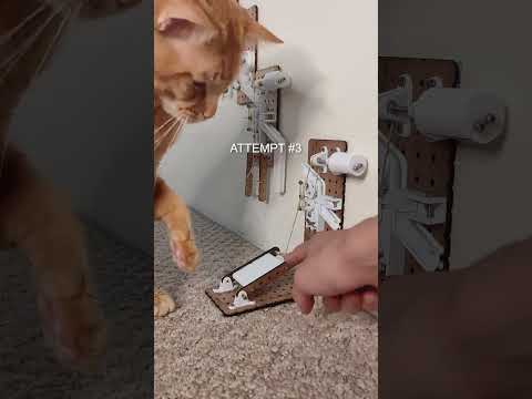 First training session