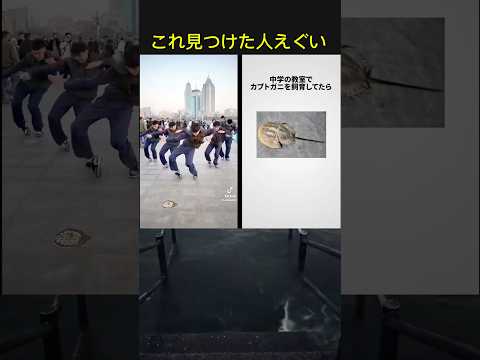 中国ダンスの既視感ってこれか (作成者は概要欄)#shortsvideo #shortsfeed#naruto #ナルトダンス