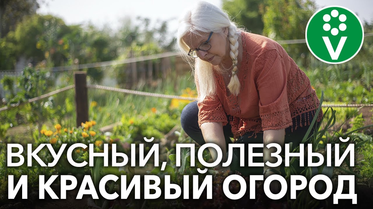 Такие грядки украсят любой участок! Как создать красивый и современный огород?