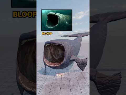 How Big Is the Bloop? The Biggest Sea Monster Comparison!