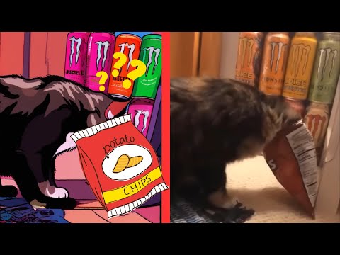 Skibidi Toilet Cat Funny🐱😂Funny Cats and Dogs Video😂Cat Drawing Memes🎨Funny Animal Videos😂Loop Media