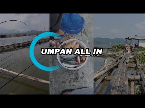 tongkrongan tengah rawa tembak dalam ‼️ mancing teknik nutul umpan all in ‼️ fishingvideo