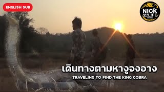 เดินทางตามหางูจงอาง