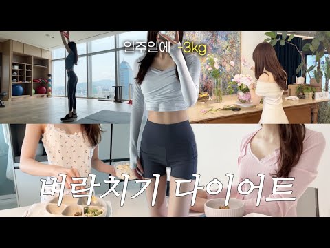 나만 알고싶었던 팔뚝살, 아랫배 치트키🍏🥕일주일 -3kg 다이어트 VLOG💪🏻 커스텀 드레스👠 최애 국밥집, 플라워 클래스, 신라호텔 아리아께