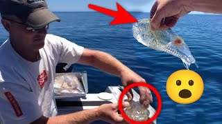 Pemancing ini awalnya terkejut saat mendapakan ikan aneh berbentuk unik transparan