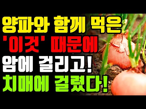 양파와 절대로 함께 먹지마세요! 🧅 암과 치매에 걸릴 수 있습니다! 양파와 최악의 궁합인 3가지 음식과 만성 염증과 독소 싹 빼주는 최고의 레시피 3가지 [양파 효능, 건강 정보]