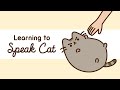 Understanding Key Concepts from the Video Tutorial