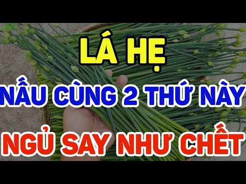 BÁC SĨ MÁCH 1 NẮM LÁ HẸ NẤU CÙNG THỨ NÀY NGỦ NGON ĐẾN SÁNG, TĂNG ĐỀ KHÁNG KHỎE NHƯ VOI