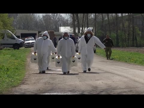 「生物兵器」の可能性も ハンガリーで半世紀ぶり感染確認の口蹄疫=首相補佐官