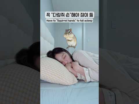 꼭 “다람쥐 손”해야 잠이 듦🐿️Have to "Squirrel hands" to fall asleep #shorts
