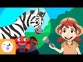 Animal Characteristics and Recognition