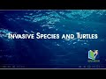 Invasive Species in Georgia