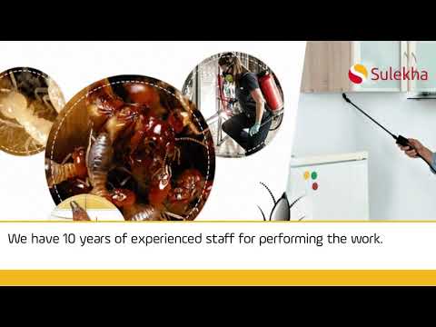 business video
