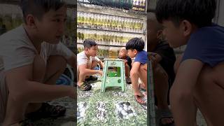Trị bệnh cho con cá betta #bettasales #ngocdiemaquarium #baoiba