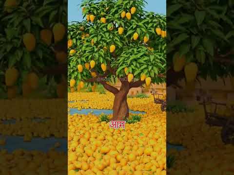 The Infinite Mango Tree of Grandpa 🌳 दादाजी और आमों का बेकाबू जादू 🧪🌿