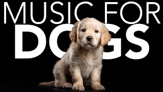 10 HOURS of Dog Relaxing Music 💖🦮 Gentle Calming Music to Help Dogs Sleep and Relax
