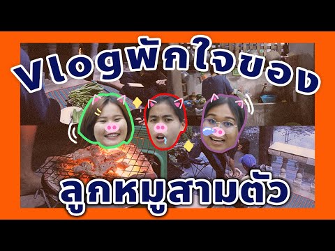 Vlogลูกหมูสามตัวปะทะหมูย่างบ้านคุณมิ้น