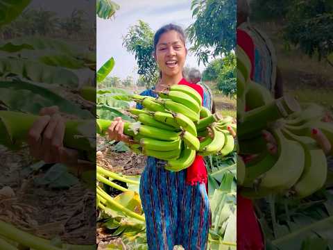 সব কলা গাছ কেটে ফেললাম🙃 #viralvideo #funny #village #youtubeshorts #agriculture #fishing