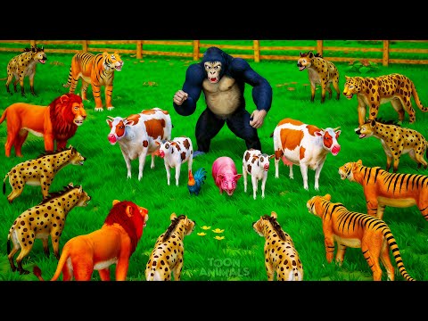 Epic Rescue! Gorilla Battles Wild Animals to Protect the Farm Animals