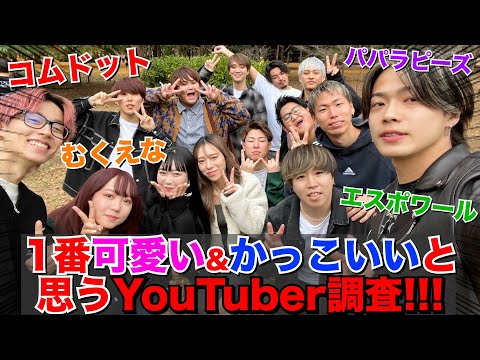 【大調査】イヌ軍の皆にYouTuberで1番可愛い&かっこいいと思う人聞いてみた！！！