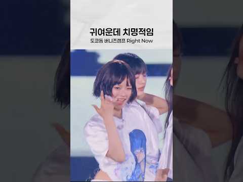 치명적인 수달의 Right now