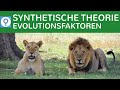 synthetische-evolutionstheorie-evolutionsfaktoren/