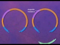 Recombinant DNA and Plasmid Cloning