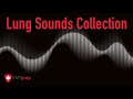 Lung Sounds and Video Analysis