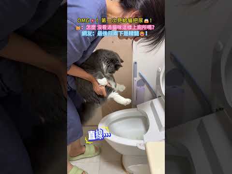 OMG💥！第一次見給貓把尿😱！🐱：怎麼❓ 沒看過咪這樣上廁所嗎❓網友：最後抖兩下是精髓👍 #cat #cute #shorts #funny #funnyshorts  #cutecat