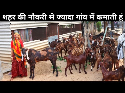 ये महिला बकरी पालन से गांव में घर रहकर कमाती है अच्छा मुनाफा | Goat Farming | Goat Farming at Home