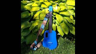 Everybody Gets A Kitten by Jeremy Messersmith (Ukulele Cover/Playalong)