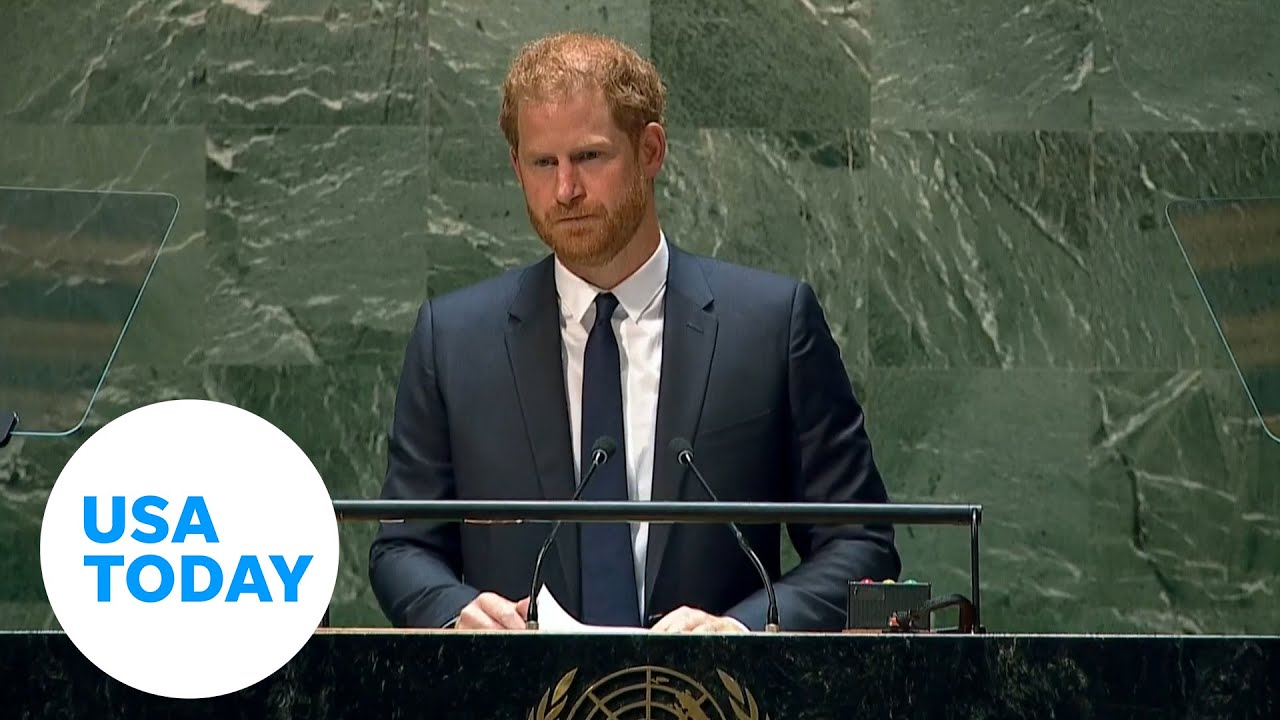 Prince Harry: ‘This has been a painful year and a painful decade’ | USA TODAY￼