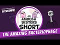 Understanding Bacteriophages
