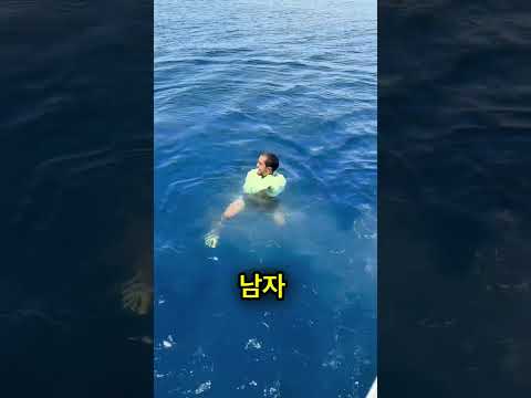 티셔츠 하나로 물고기 떼를 잡아버림😳