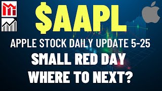 $AAPL APPLE STOCK SMALL RED DAY, WHERE TO NEXT?? Apple Stock Analysis | Live Wellthy Stocks