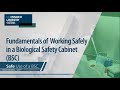 Biosafety Cabinet Best Practices