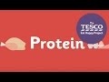 Understanding Protein Sources and Functions