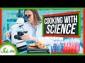 Food Science and Cooking Principles