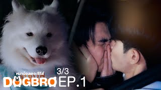 DogBro หมาน้องเดอะซีรีส์ EP.1 [3/3]