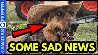 Marshall the Prepping Dog is Sick, But Some Good News! 