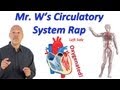 Exploring the Circulatory System Through Rap