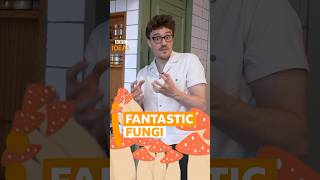 Why fungi are fantastic! 🍄 | BBC Ideas #facts #science #fungi