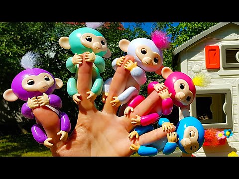 Five little monkey Song + More Children Songs