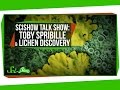 Understanding Lyans and Their Ecosystem
