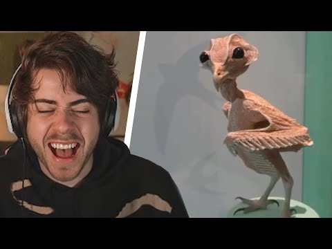 o reddit dos memes inesperados