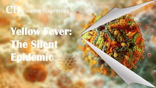 Yellow Fever  The Silent Epidemic